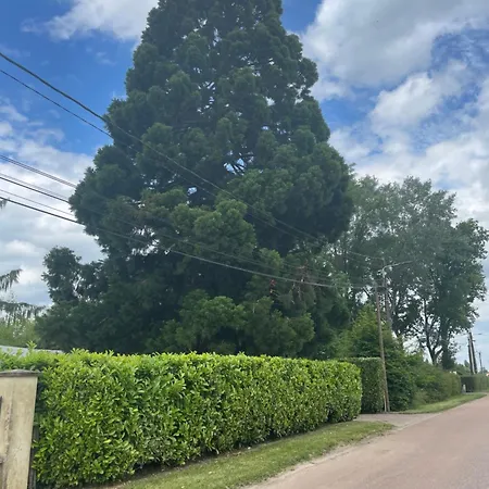Bed and breakfast La Séquoia Les Bordes-Aumont