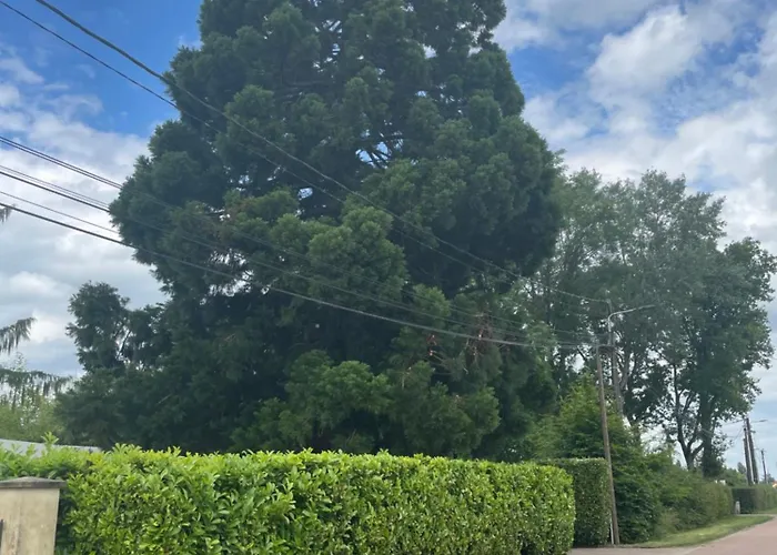 Oda ve Kahvaltı La Sequoia Les Bordes-Aumont